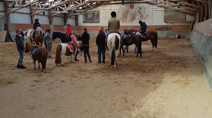 Centre Équestre - Sarreguemines Jump