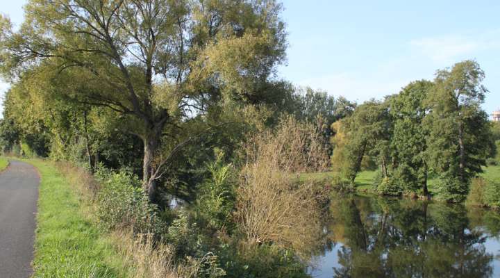 GRÜNE TRASSE AM SAARKANAL