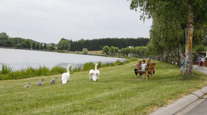 GRÜNE TRASSE SARREGUEMINES-GRUNDVILLER