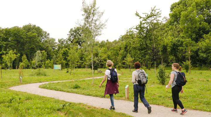 ARBORETUM IN BLIES-GUERSVILLER