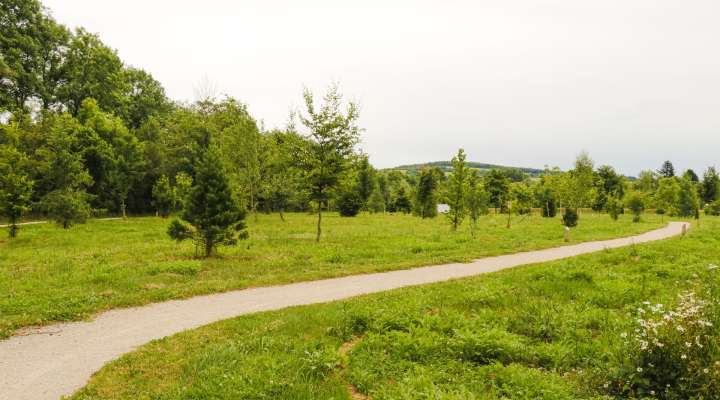 ARBORETUM IN BLIES-GUERSVILLER