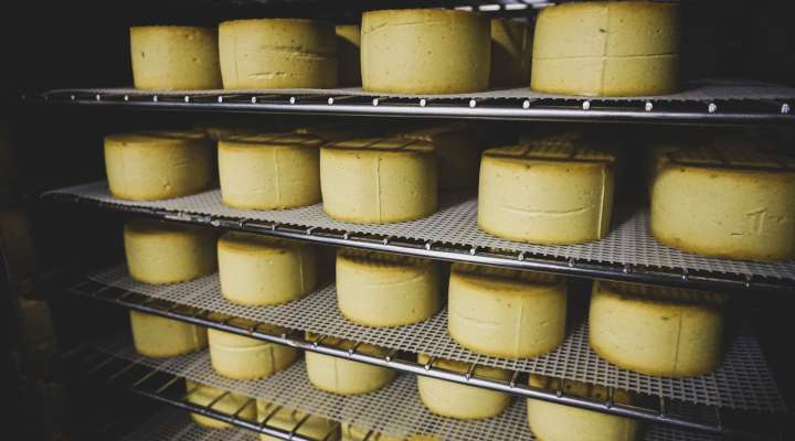 Petit veganne - Pflanzliche Käserei in Sarralbe