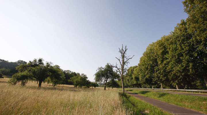 Itinéraire cyclable glan-blies