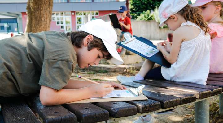 Randoland - Sarralbe