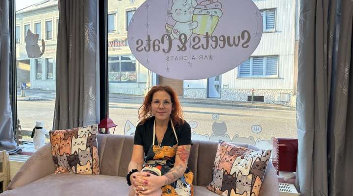 Sweets & Cats - Bar à chats