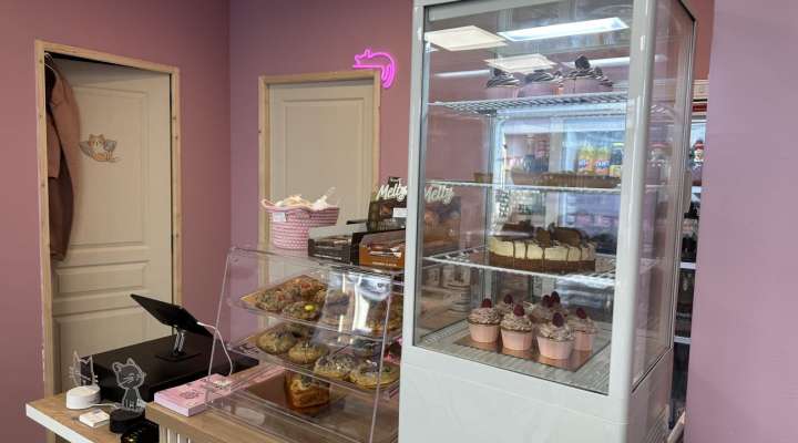 Sweets & Cats - Bar à chats