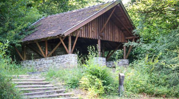 „Rendez-vous Nature“ – Der Wald der fünf Sinne, ein Abenteuer für die ganze Familie