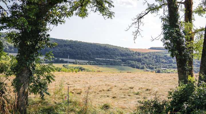 „Rendez-vous Nature“ – Der Wald der fünf Sinne, ein Abenteuer für die ganze Familie