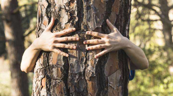 Les Rendez-vous Nature - Eintauchen in den Wald
