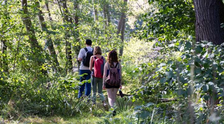 Les Rendez-vous Nature - Bemerkenswerte Natur auf den Spuren der Grafen
