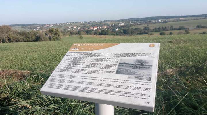 Natur-Treffs - Am Fuße der Äolischen Inseln