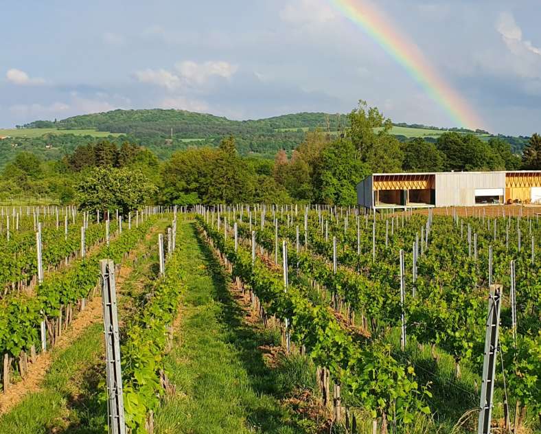 domaine les beliers  GÄSTEZIMMER SCHLAFEN BEIM WEINBAUER