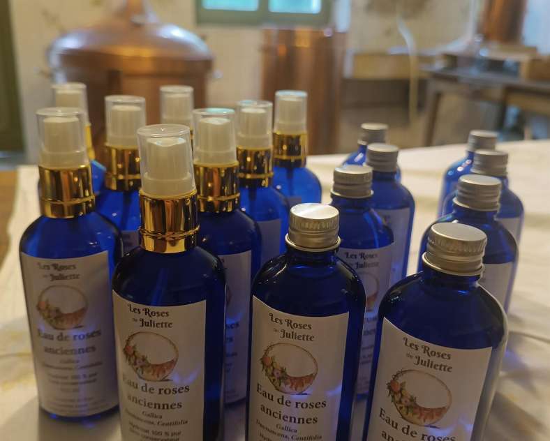 Les Roses de Juliette Les Roses de Juliette