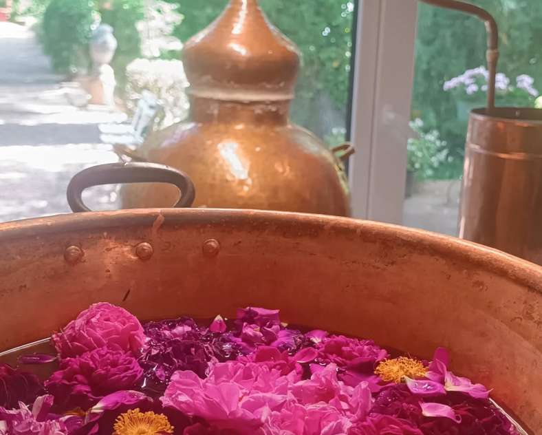 Les Roses de Juliette Les Roses de Juliette