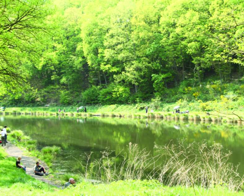 MAIRIE PETITE ROSSELLE Étang et vallée du schafbach