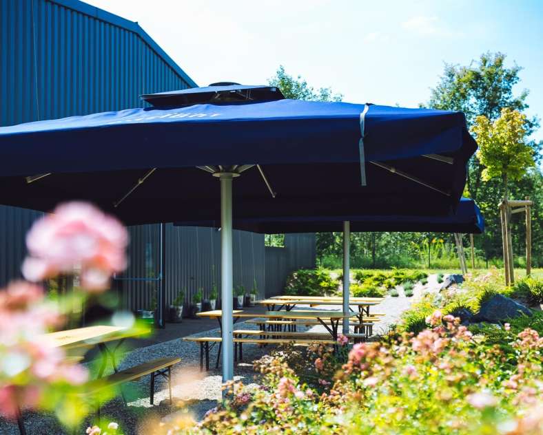 Taproom Galibot Taproom Galibot