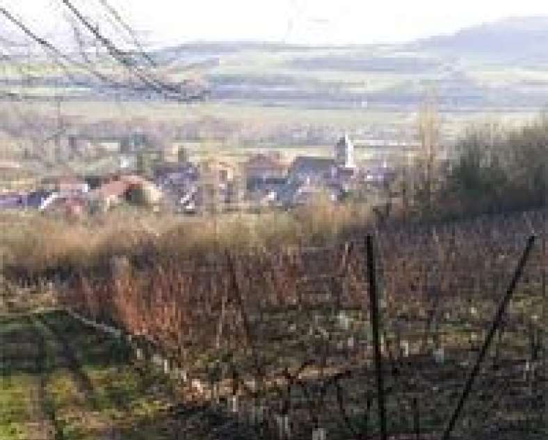 Philippe Joly  Domaine de la Croix de Mission
