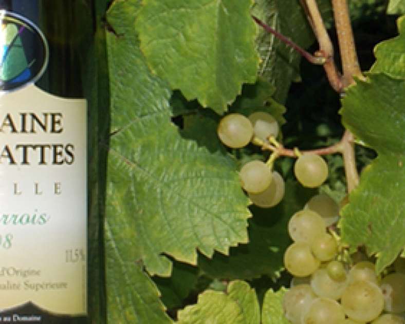 Domaine des Hattes Domaine des Hattes