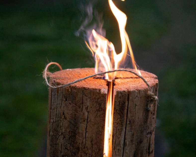 Laetitia Lhermite  La bûche scandinave