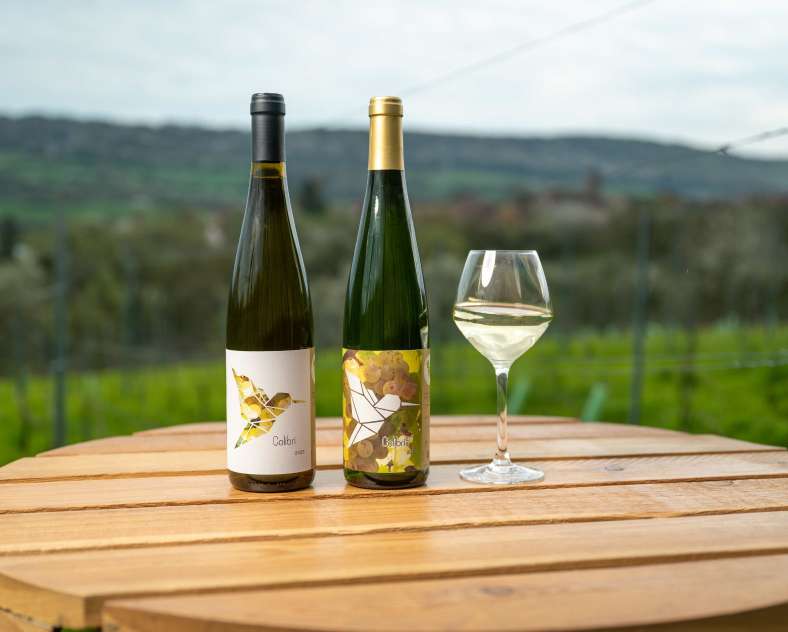 CI PHOTOS Domaine Briquet Muller
