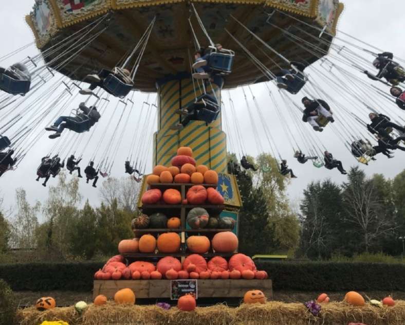 DR WALLOWEEN