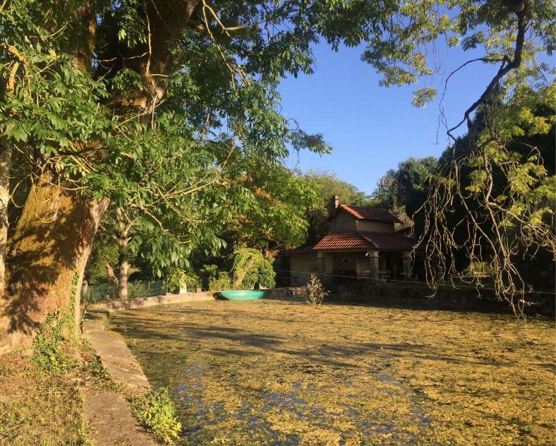 Moselle Attractivité Die Flusskrebse von Jean-Philippe Hames