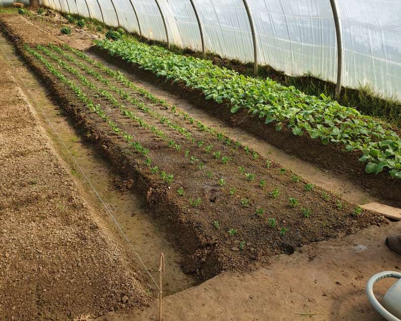 Les jardins d'Husange Die Garten von Husange