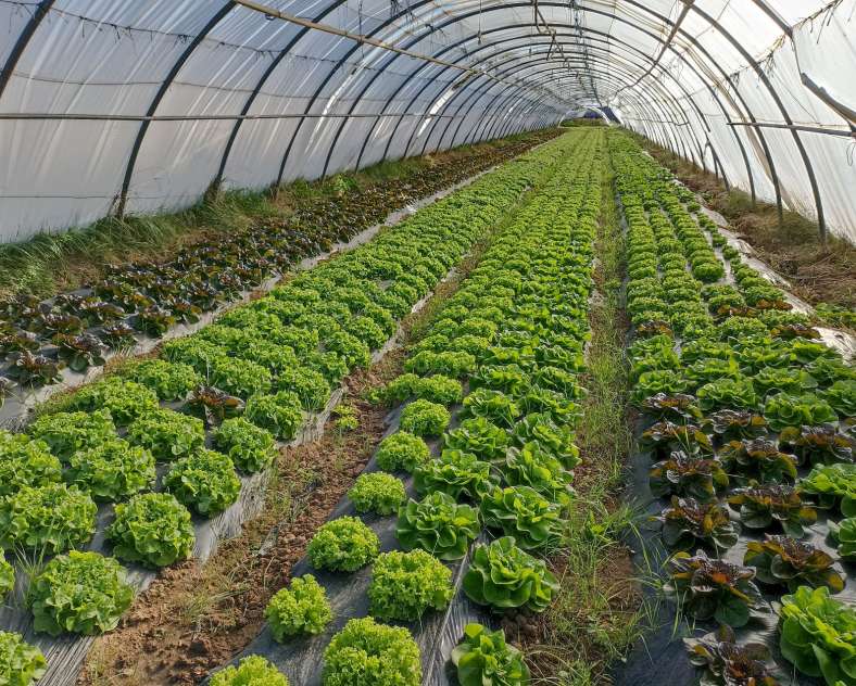 Les jardins d'Husange Die Garten von Husange