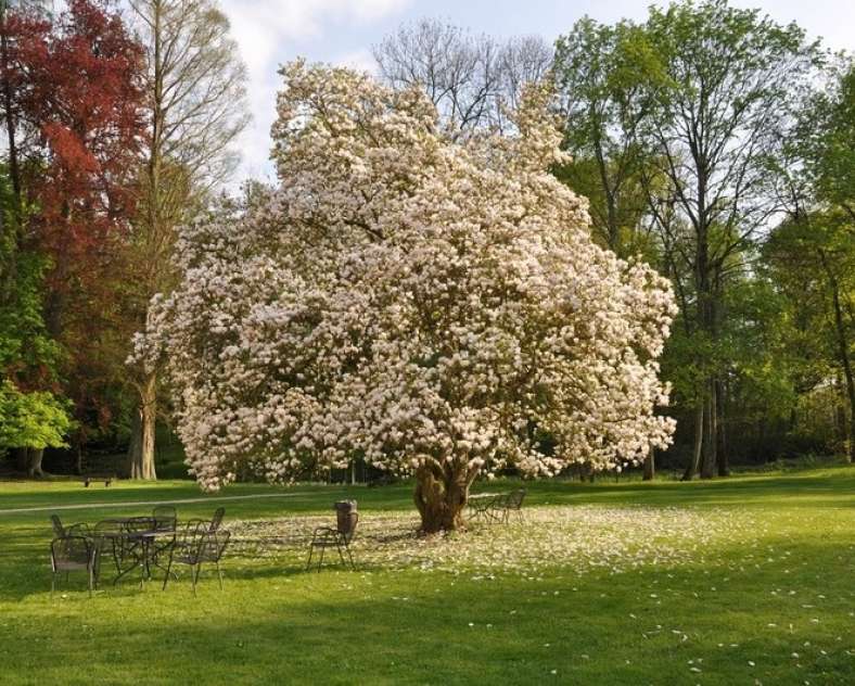 Château de Preisch Der Garten von Schloss Preisch