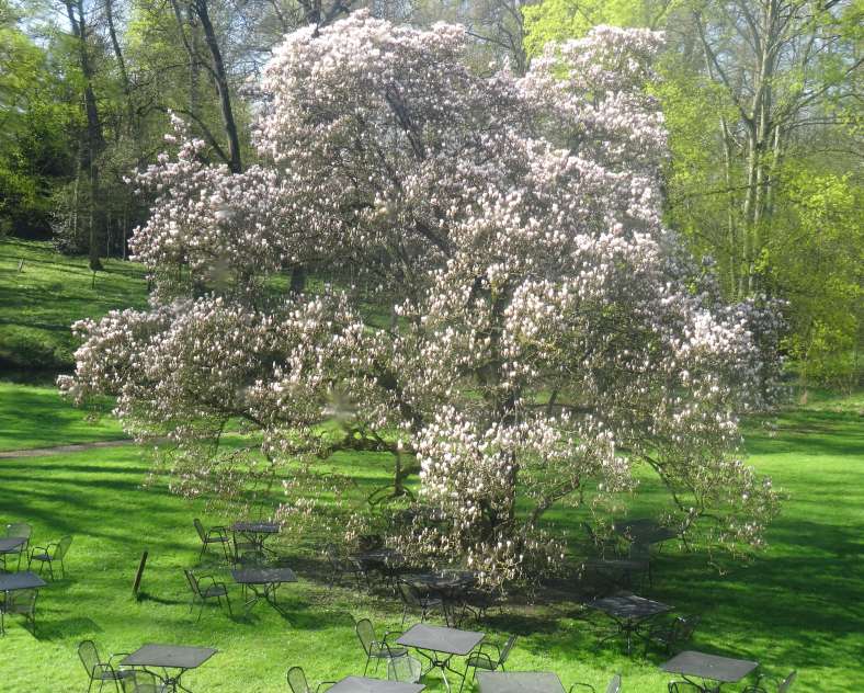 Château de Preisch Der Garten von Schloss Preisch