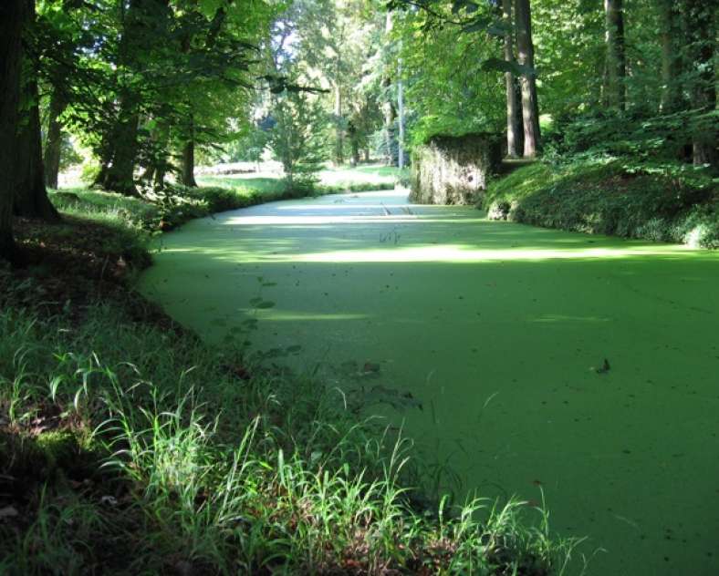 Château de Preisch Der Garten von Schloss Preisch