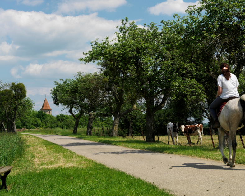 OT-CCCE Rundwanderweg Boust