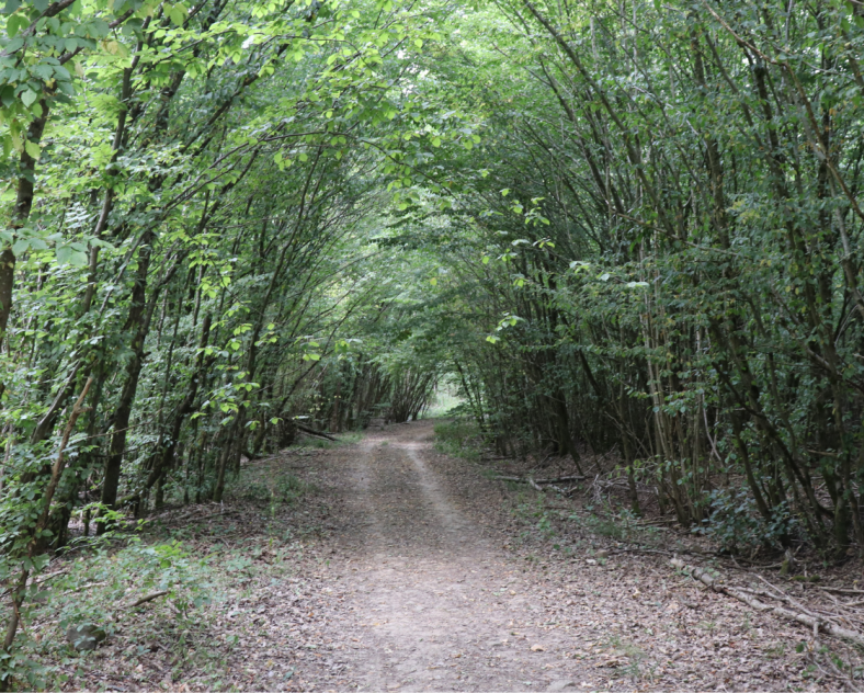 J. Leclercq OT-CCCE Rundwanderweg Boust