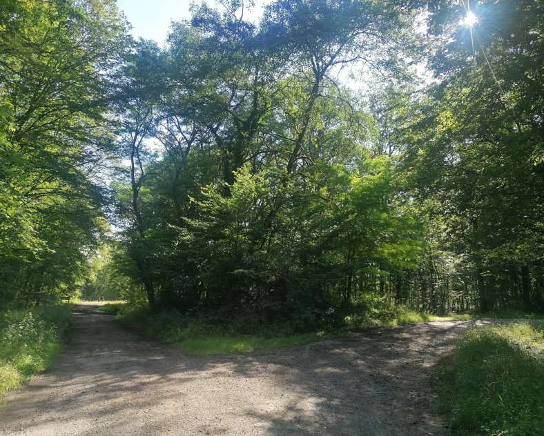 OT CCCE Wanderweg Soetrich