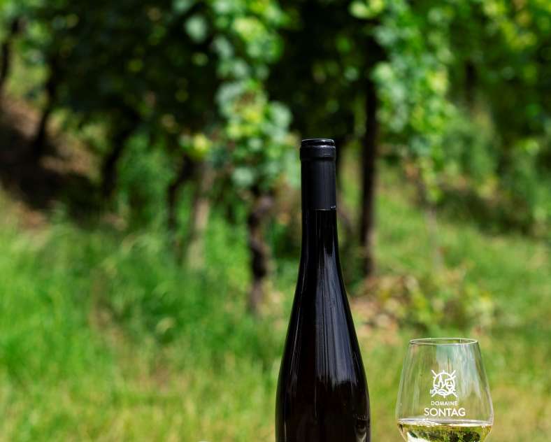 CI Photos Domaine Sontag