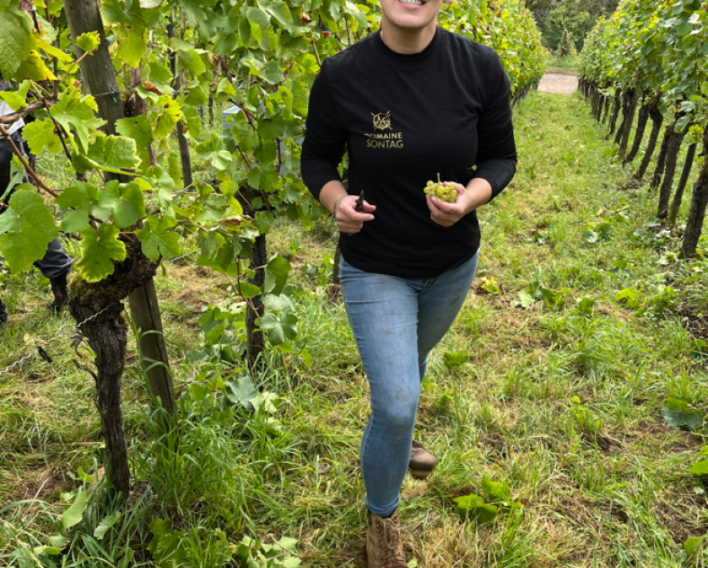 Photo SONTAG Domaine Sontag