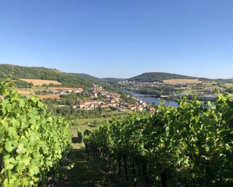 Photo SONTAG Domaine Sontag