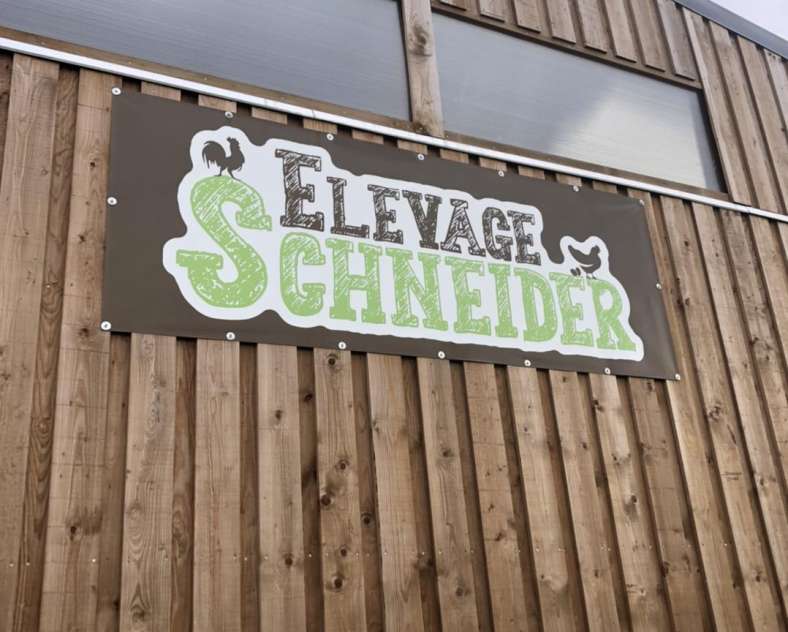 Élevage Schneider Élevage Schneider
