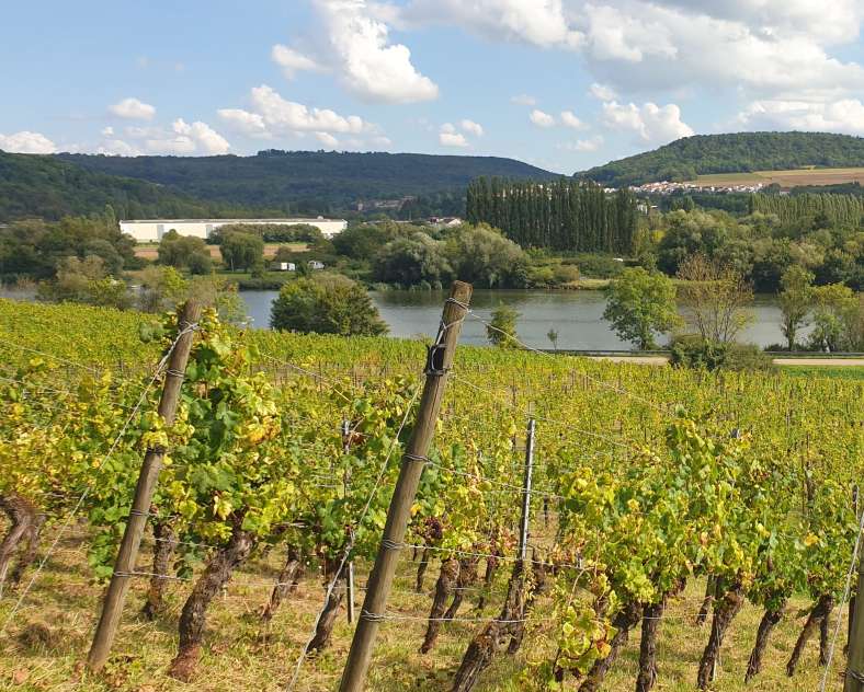 OT CCCE Spielerischer Parcours - Bon Voyage Krebsy - Haute-Kontz