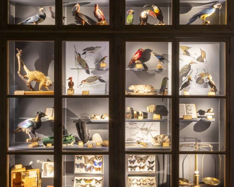 Laurianne KIEFFER - Musée de La Cour d'Or - Eurométropole de Metz Musée de La Cour d'Or - Eurométropole de Metz