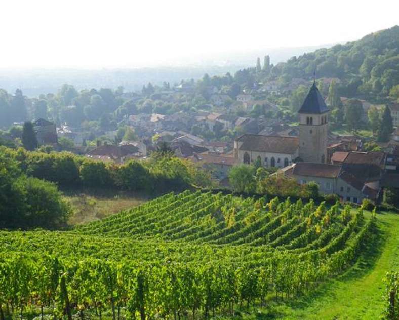 M-G Molozay
Château de Vaux - Weinberge Molozay