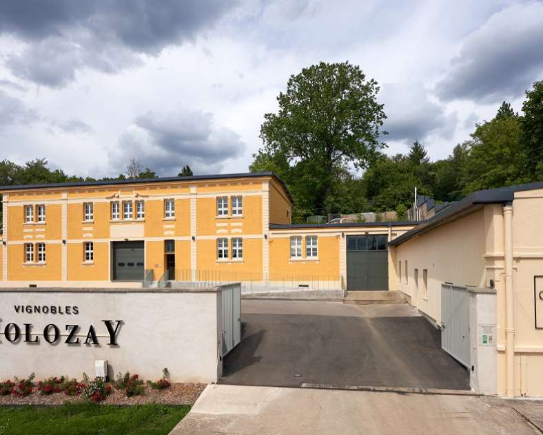 Via Mosel’ / ARNOLDI Château de Vaux - Weinberge Molozay