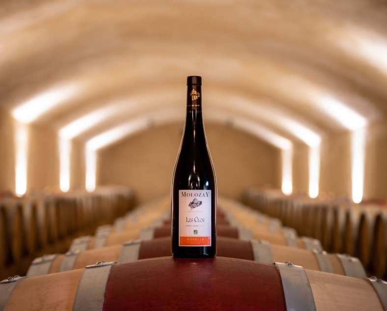 CI Photos Château de Vaux - Weinberge Molozay