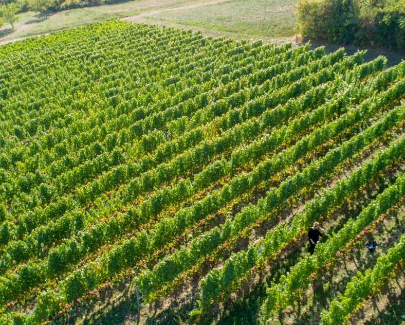 Séquence K Domaine Oury Schreiber