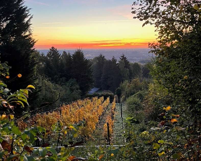 Commune de Plappeville  Les pelouses calcaires de la Taye aux Vaches