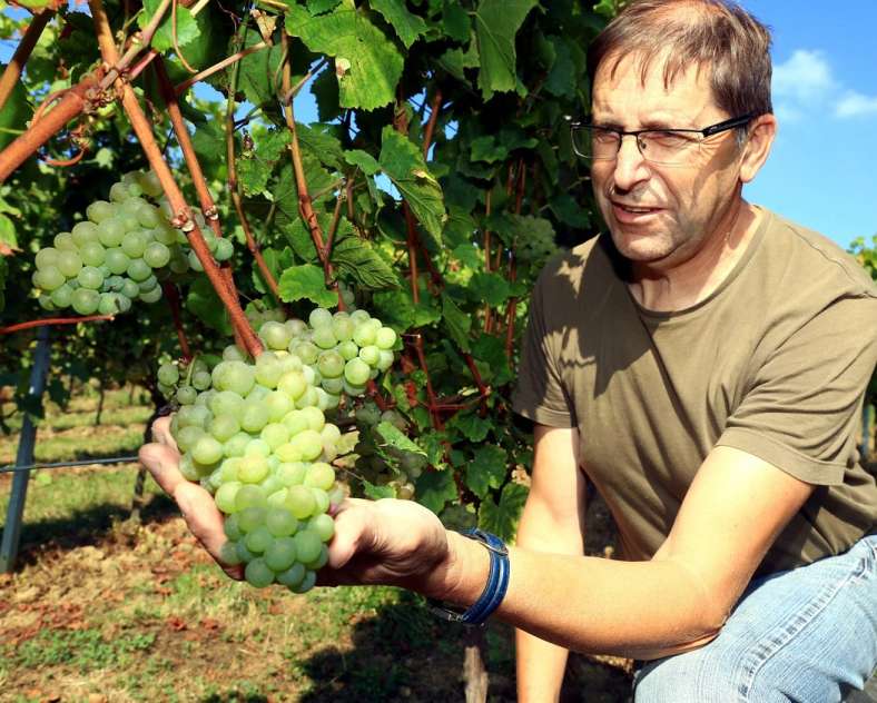 Domaine Sommy Domaine Sommy