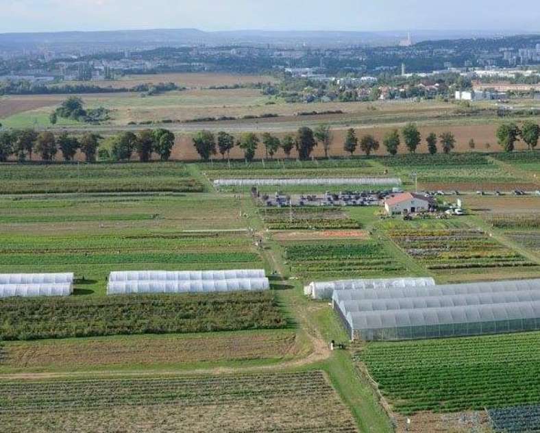 Cueillette de Peltre  Cueillette de Peltre