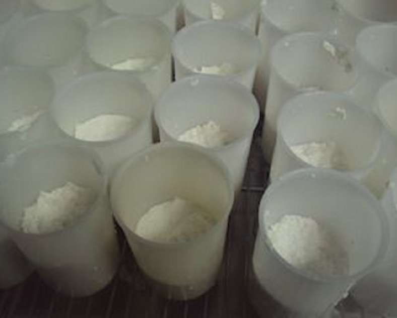 La Biquetterie Zucht La Biquetterie