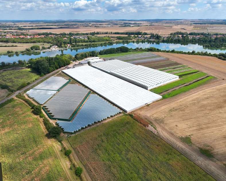 Les Jardins Vitrés Les jardins Vitrés