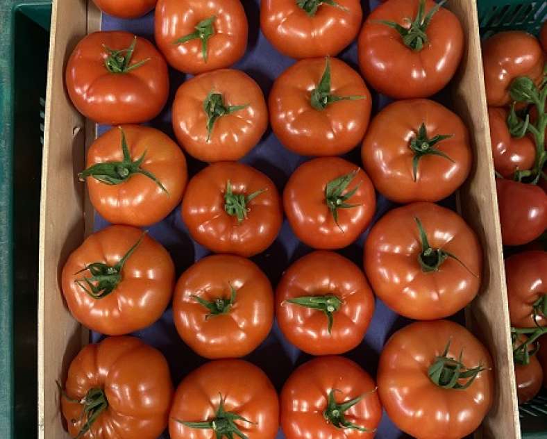 Les Jardins Vitrés Les jardins Vitrés